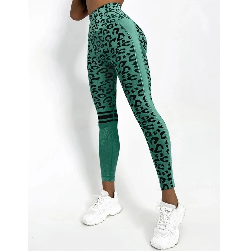 Women’s Leopard Print Seamless Yoga Leggings 4 Colours - T.O.M.S Direct